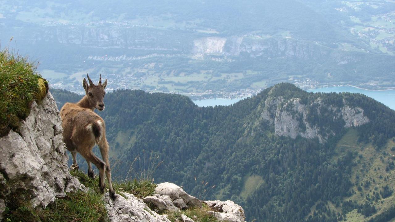 Escale du château de Promery 1389 Annecy Exterior foto